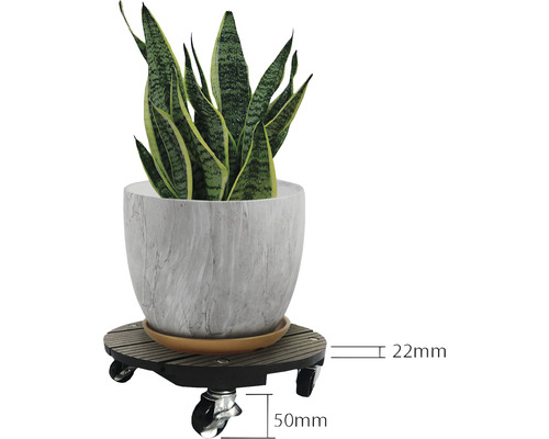 Kvetinový vozík s rastlinou v kvetináči