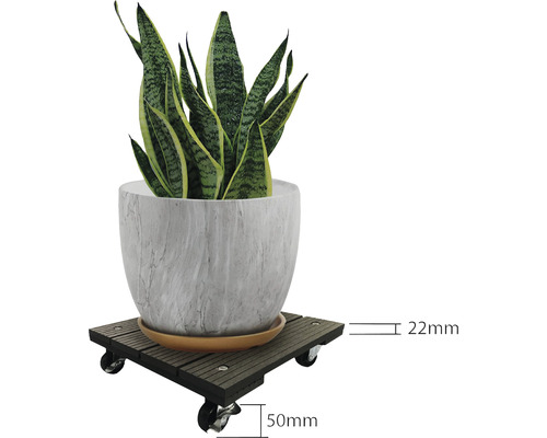 Podložka pod kvetináč s rastlinou v kvetináči a rozmermi