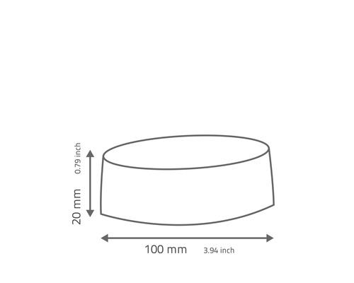 Technický nákres okrúhleho predmetu s rozmermi 100 mm x 20 mm.