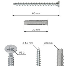 Ilustrácia skrutky s dĺžkou 60 mm, hmoždinky s dĺžkou 30 mm, hlavy skrutky s pohonom PZ2 a detailov skrutky a hmoždinky.